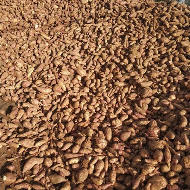 紅薯淀粉加工原料