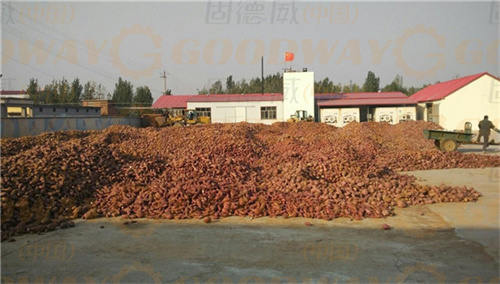 開紅薯淀粉廠，這幾點也很重要！生產資源、設備動力供應、土建與施工