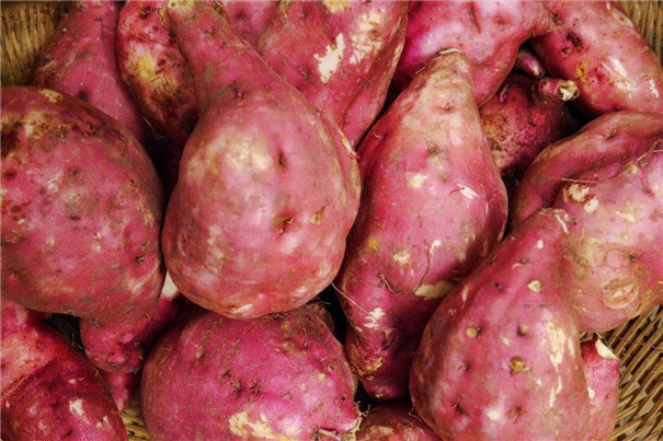 清洗后的紅薯 清洗后的紅薯