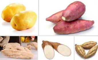 紅薯清洗設備-揉搓淘洗機