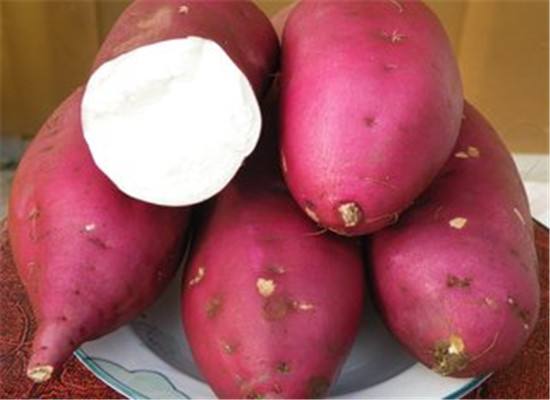 白紅薯.jpg
