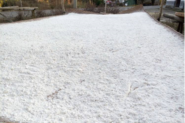 紅薯淀粉機(jī)械