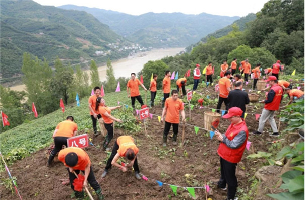 固德威案例 固德威案例