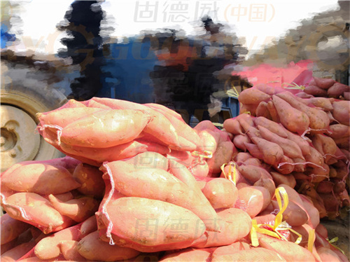 開紅薯淀粉廠，這幾點也很重要！生產資源、設備動力供應、土建與施工