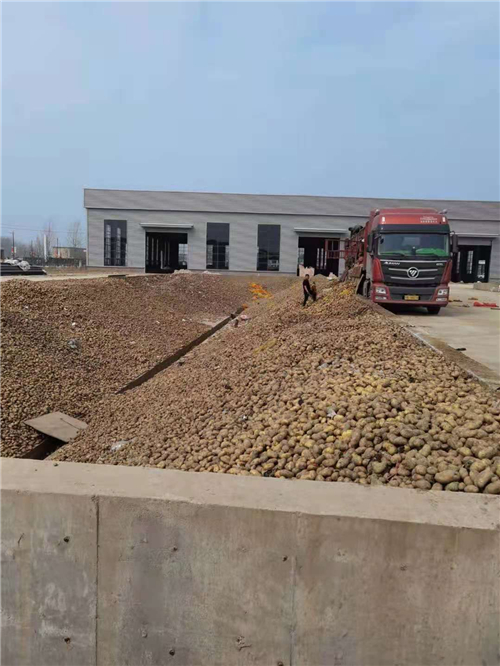 簡要分析紅薯淀粉加工中清洗輸送設備的重要性 簡要分析紅薯淀粉加工中清洗輸送設備的重要性