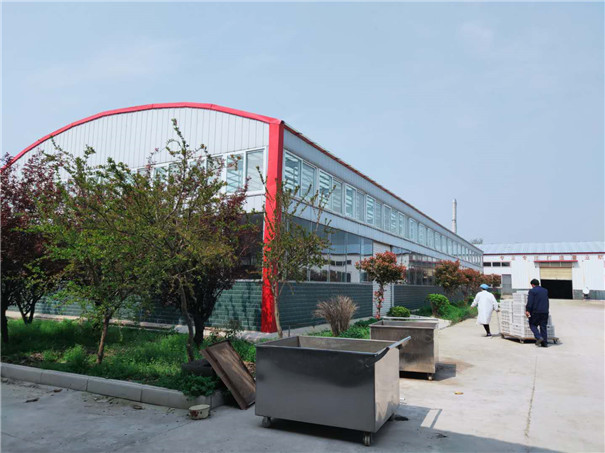 紅薯淀粉加工廠-如何選址