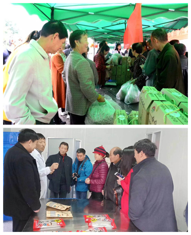 固德威案例 固德威案例