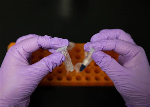 厲害了我的國(guó)！西北風(fēng)真能喝飽了，中國(guó)首次實(shí)現(xiàn)二氧化碳人工合成淀粉