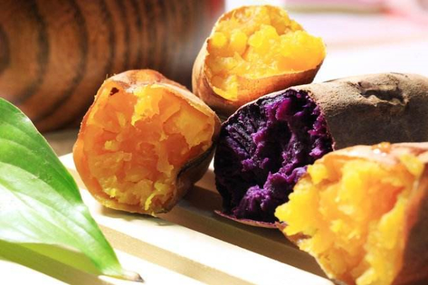 紅薯發(fā)展史 紅薯發(fā)展史