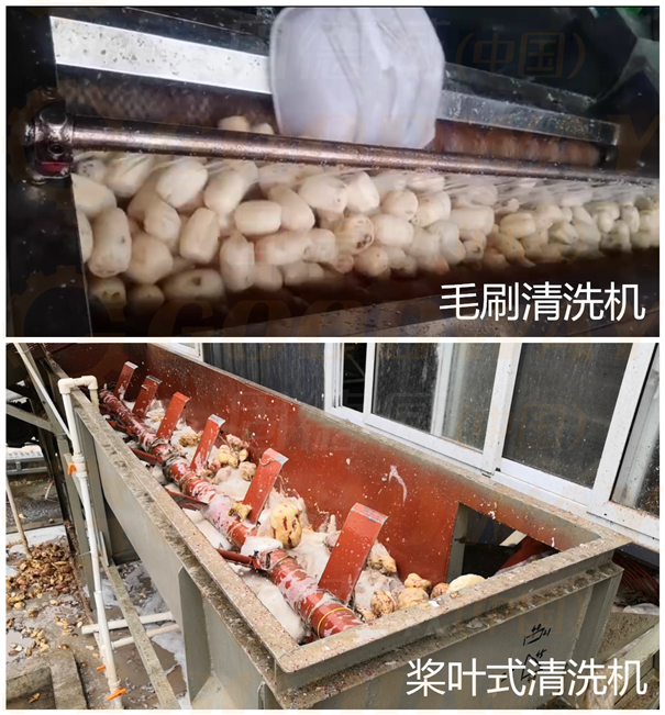 蓮藕淀粉加工設(shè)備-清洗機(jī)