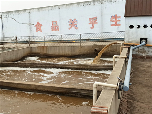 如何解決紅薯淀粉加工廢水的難題？清潔化生產還能提高整體利用率