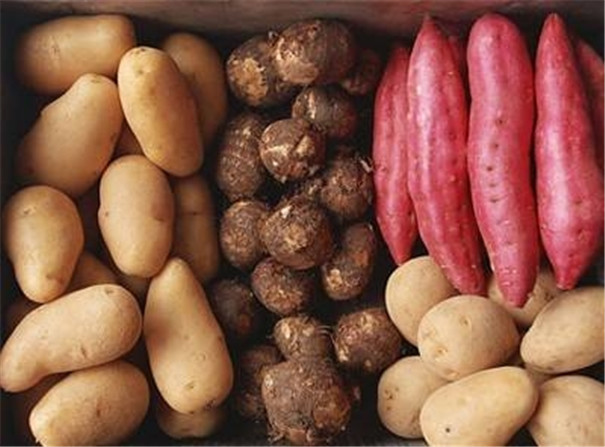 全自動淀粉加工設備適用哪些薯類 葛根全自動淀粉加工設備