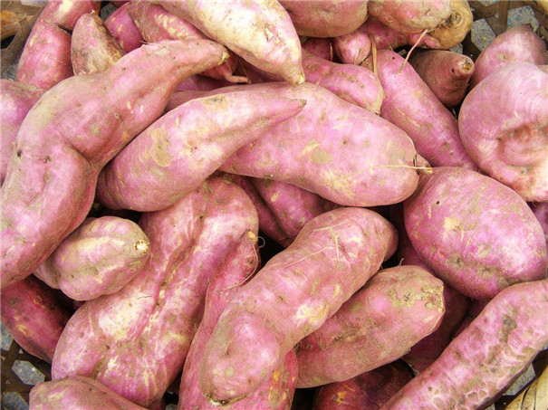 src=http___bkimg.cdn.bcebos.com_pic_9f510fb30f2442a7ddba1fcb