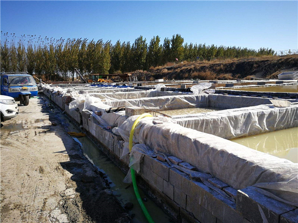 紅薯淀粉加工設(shè)備