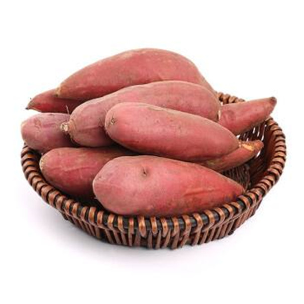 紅薯淀粉加工行業(yè)現(xiàn)狀分析之紅薯淀粉的特性及其應用