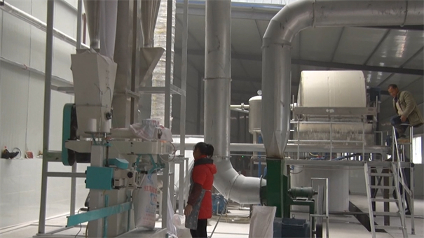 新型自動化紅薯淀粉加工設備的五個技術優勢