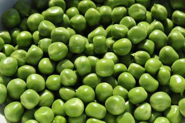 小麥，豌豆淀粉生產(chǎn)線