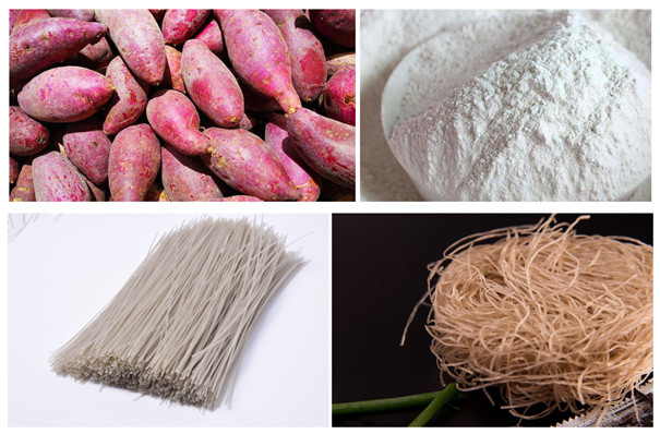 新手開辦淀粉廠注意事項(xiàng)-淀粉粉條加工 新手開辦淀粉廠注意事項(xiàng)-淀粉粉條加工