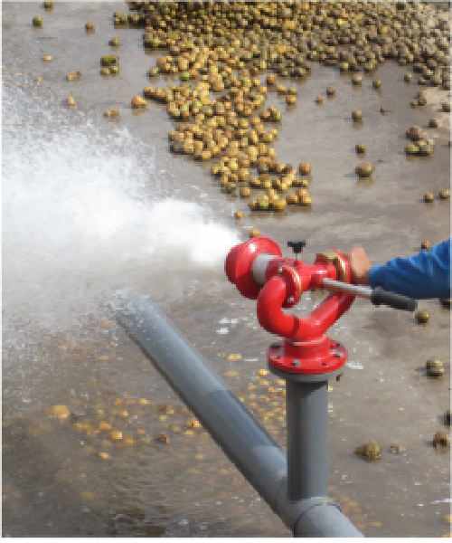 簡要分析紅薯淀粉加工中清洗輸送設備的重要性 簡要分析紅薯淀粉加工中清洗輸送設備的重要性