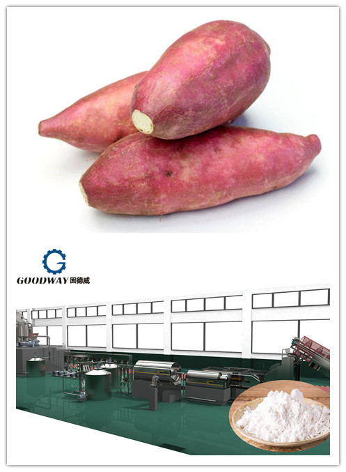 紅薯0516.jpg 紅薯0516.jpg